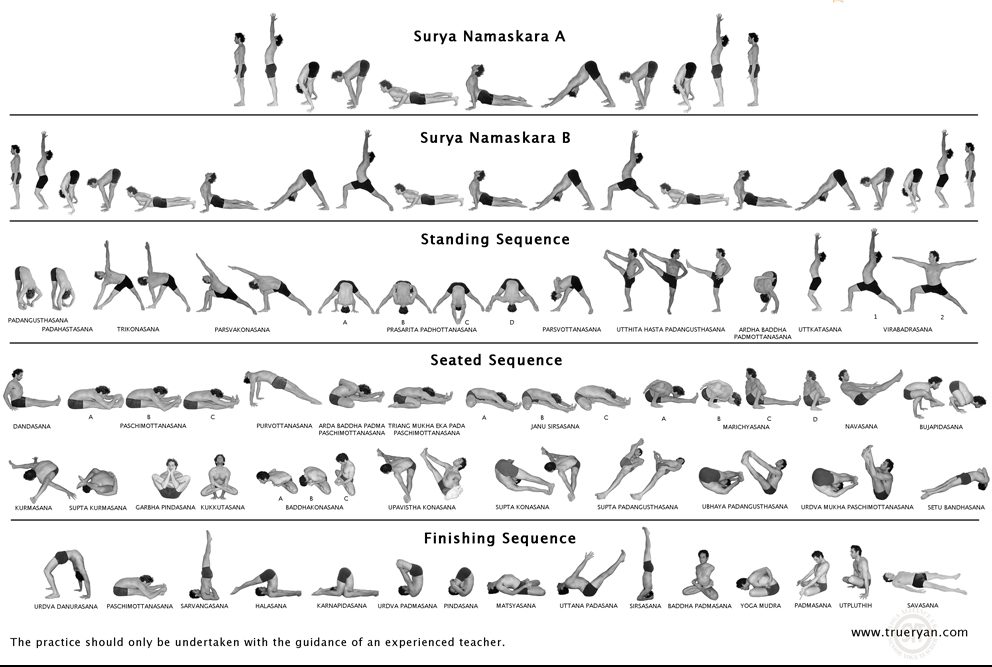 22 forms of yoga